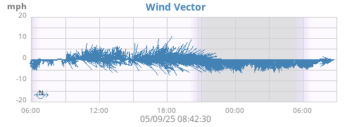 Wind Vector