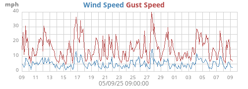 Wind Speed