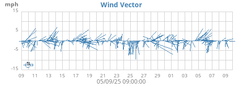 Wind Vector