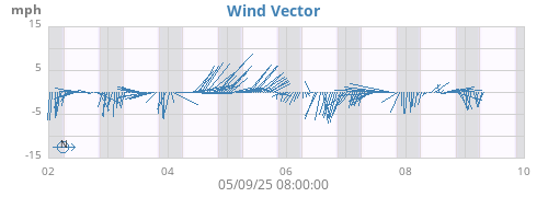 Wind Vector